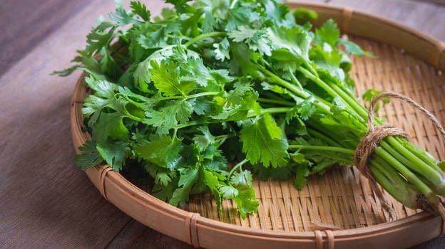 Koriandr a jeho výhody
